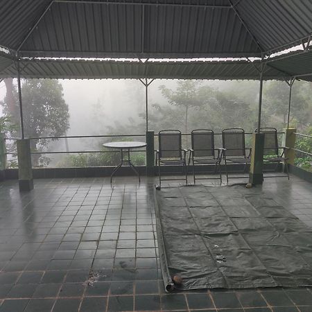 Rohana Estate Lodging & Camping Kandy Zewnętrze zdjęcie
