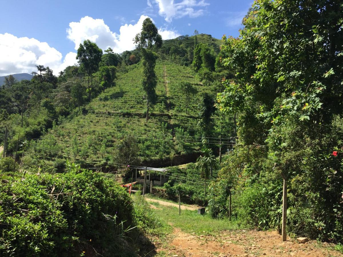 Rohana Estate Lodging & Camping Kandy Zewnętrze zdjęcie