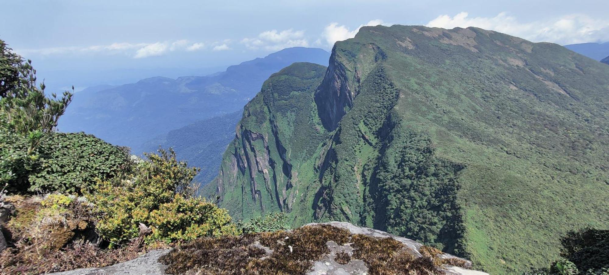 Rohana Estate Lodging & Camping Kandy Zewnętrze zdjęcie