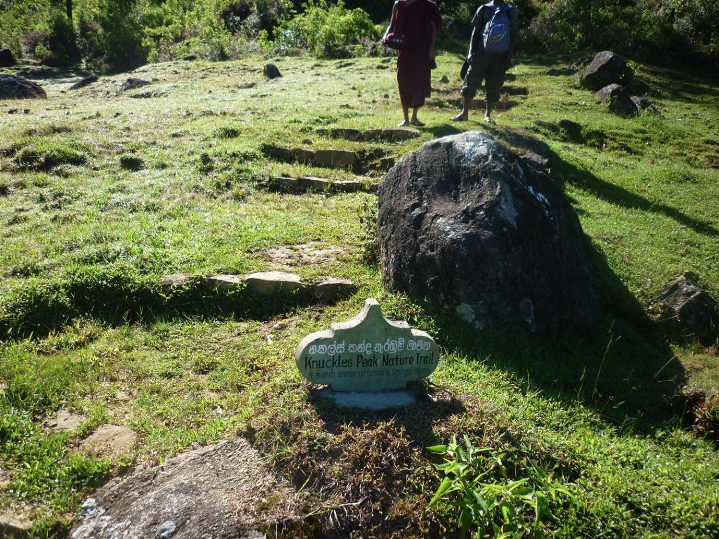 Rohana Estate Lodging & Camping Kandy Zewnętrze zdjęcie