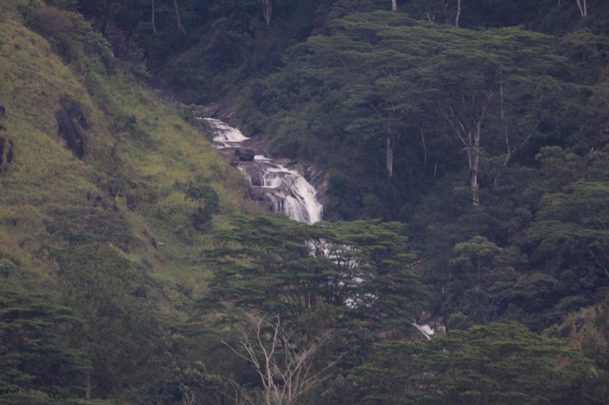 Rohana Estate Lodging & Camping Kandy Zewnętrze zdjęcie