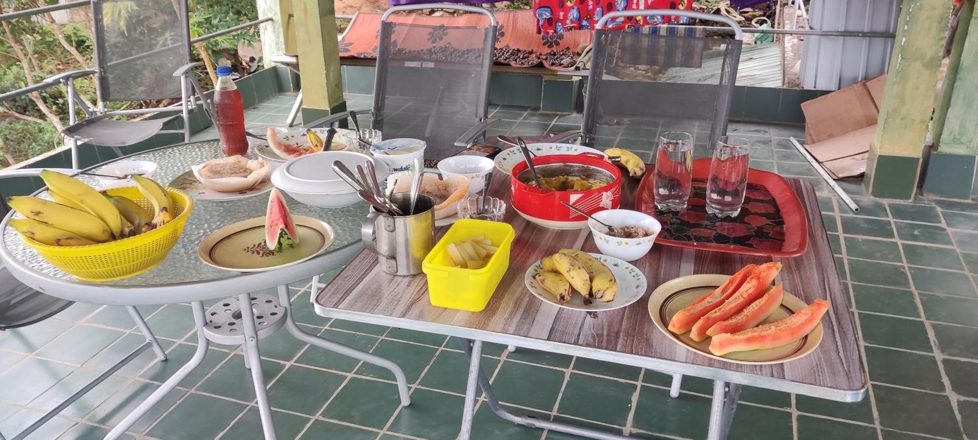 Rohana Estate Lodging & Camping Kandy Zewnętrze zdjęcie